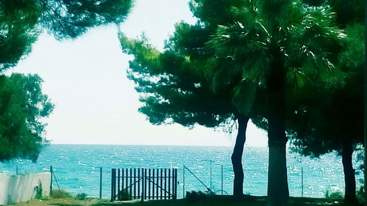 Seafront Villa Joan Nea Skioni Bagian luar foto